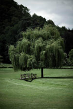 park of the Maison Aribert in Uriage les bains