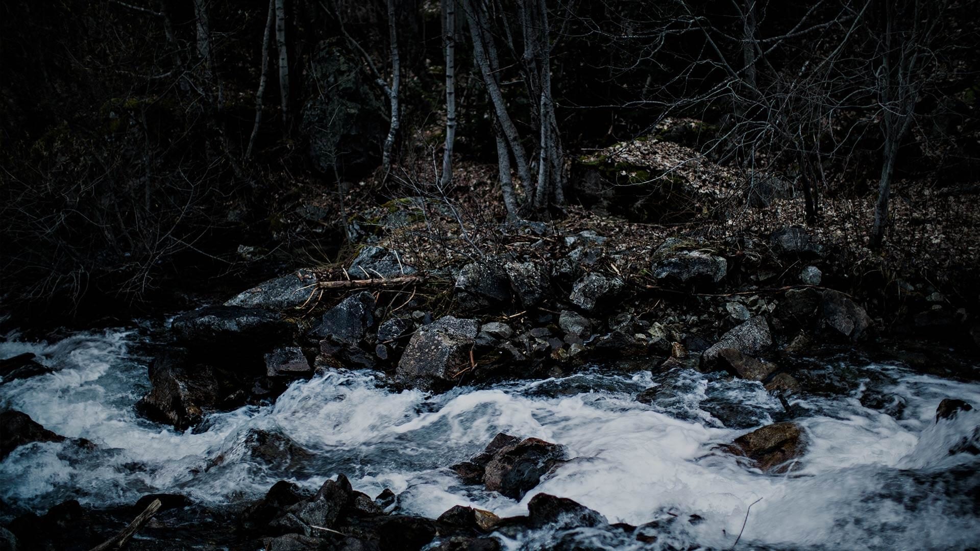 river in the middle of the forest