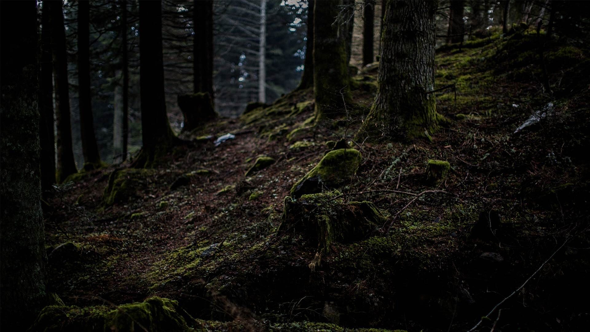 Forêt et parc près d'Uriage-les-bains en Isère - Maison Aribert