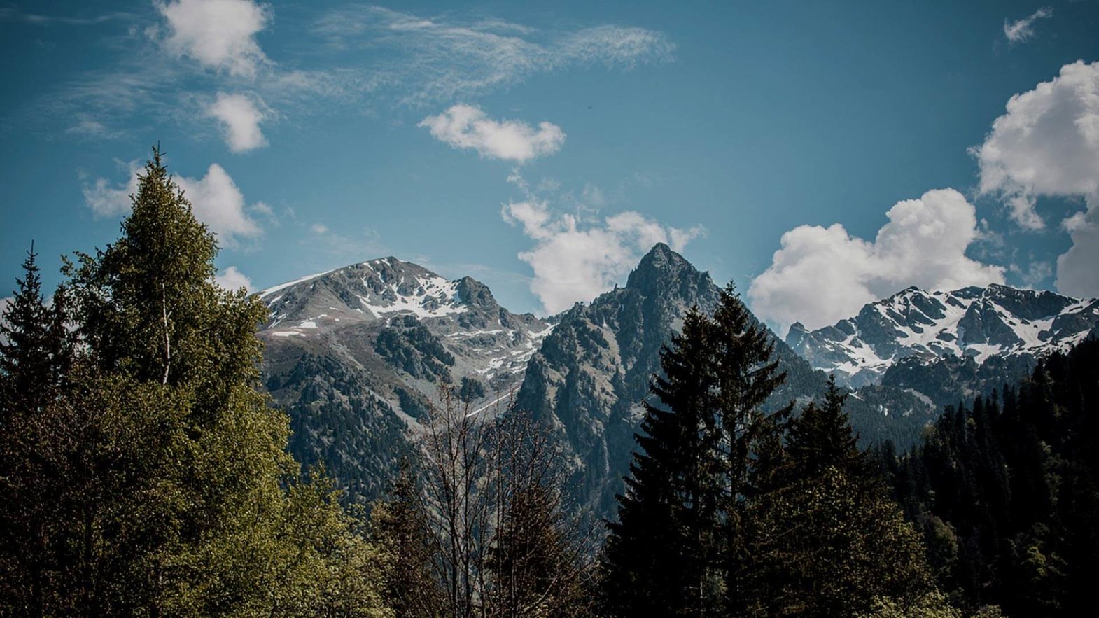 Montagnes et forêt près de Grenoble et d'Uriage-les-bains