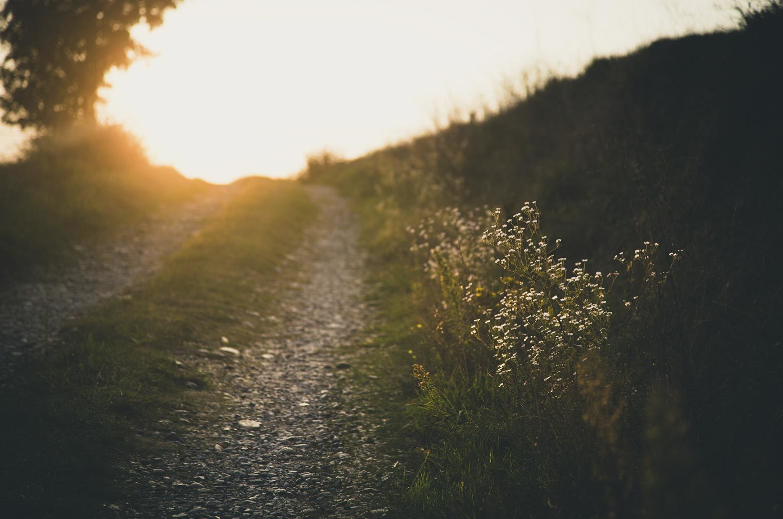 Hiking trail in Isère